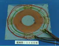 Disk type rotary motor