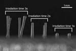 Laser Pillar Formation