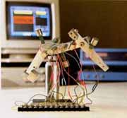 Micro robotic arm